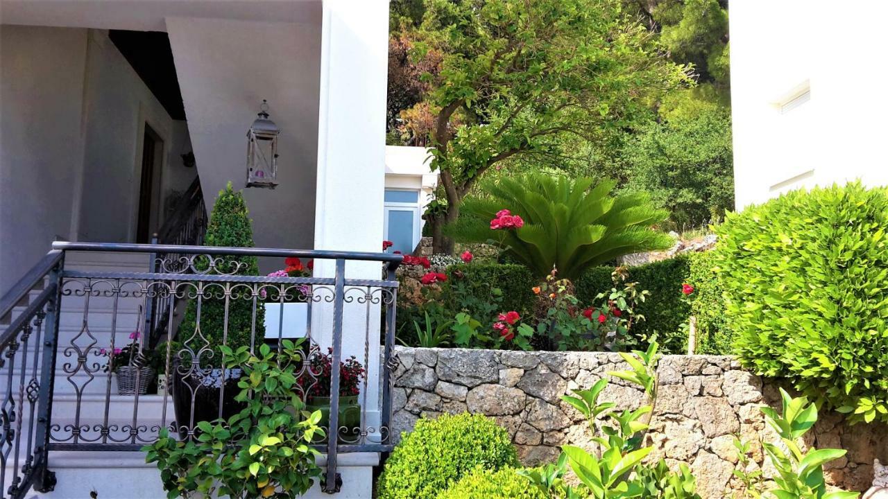 Guest House Fenix 브렐라 외부 사진
